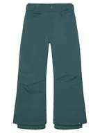 Spodnie narciarskie - Roxy Spodnie snowboardowe Backyard ERGTP03053 Zielony Regular Fit - miniaturka - grafika 1