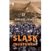 Dariusz Zalega Śląsk zbuntowany - Poradniki hobbystyczne - miniaturka - grafika 1