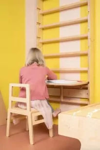 DRABINKA GIMNASTYCZNA FUNACTIVE - Wyposażenie sportowe i gimnastyczne - miniaturka - grafika 1