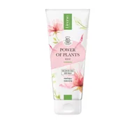 Balsamy i kremy do ciała - Lirene Power of Plants Nawilżający Balsam do ciała Rose Touch 200 ml - miniaturka - grafika 1