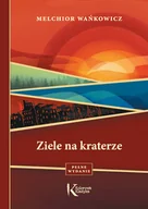 Lektury szkoła podstawowa - Greg Ziele na kraterze Melchior Wańkowicz - miniaturka - grafika 1