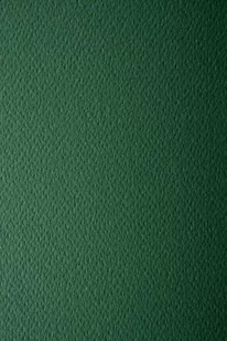 [ MB.15 ] Papier Prisma 220g Pino c. zielony - 10A4 / al *  Papier Prisma 220g Pino pak. 10A4 - Dekoratorstwo - miniaturka - grafika 1