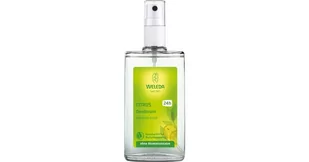 Weleda Citrus Deodorant, dezodorant cytrusowy, 100 ml - Dezodoranty i antyperspiranty dla kobiet - miniaturka - grafika 1