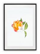 Plakaty - Plakat B2 50x70 cm Kwiaty Rośliny Natura Zieleń   WZORY - miniaturka - grafika 1
