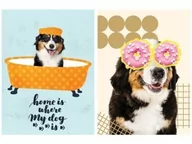 Zeszyty szkolne - Zeszyt A5 60k linia laminowany Funny Dog p10, mix cena za 1 szt - miniaturka - grafika 1