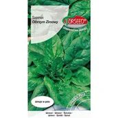 Nasiona i cebule - TORSEED nasiona SZPINAK OLBRZYM ZIMOWY 10 G - miniaturka - grafika 1