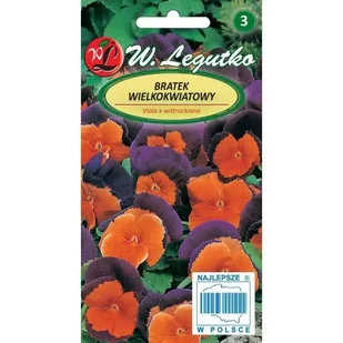 Nasiona Bratek Orange Violet pomarańczowo-fioletowy 0.30g - W.Legutko - Nasiona i cebule - miniaturka - grafika 1