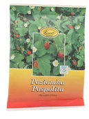 Zioła - Kawon Poziomka pospolita - Kawon - 25g 04732 - miniaturka - grafika 1