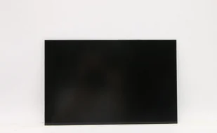 Lenovo FRU of SD11A22490 AUO 13.0 - Akcesoria do komputerów stacjonarnych - miniaturka - grafika 1