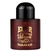 Wody i perfumy męskie - Emir Vibrant Spicy Tobacco edp 100 ml - miniaturka - grafika 1