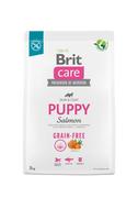 Sucha karma dla psów - BRIT CARE Dog Grain-free Puppy Salmon 3kg - miniaturka - grafika 1