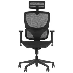 Fotel biurowy, krzesło biurowe Ergonomiczne krzesło obrotowe/biurowe ErgoNew S1 - regulowane oparcie, podłokietniki i zagłówek, siedzisko siatkowe, podstawa nylonowa - Fotele i krzesła biurowe - miniaturka - grafika 1