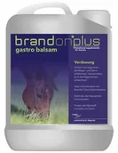 Akcesoria jeździeckie - ST HIPPOLYT Brandon + Gastro Balsam- balsam na wrzody 2,5l - miniaturka - grafika 1