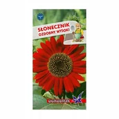 Nasiona i cebule - Słonecznik ozdobny czerwony 2g - miniaturka - grafika 1