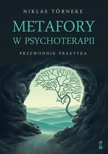 Metafory w psychoterapii. Przewodnik praktyka - Törneke Niklas, Törneke Niklas - książka - Podręczniki dla szkół wyższych - miniaturka - grafika 1