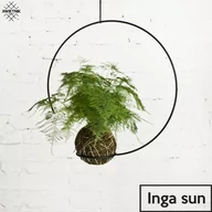 Kwietniki - Inga Sun Kwietnik Podwieszany - miniaturka - grafika 1