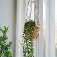 Donice - Wieszak na doniczkę na ścianę Rebecca Mobili Tecolote 80x25x25 Polibawelna Beżowy Boho - miniaturka - grafika 1