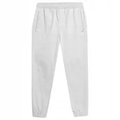 Spodnie męskie - 4F Spodnie Męskie Joggery Bawełniane Ttrom154 Xxl - miniaturka - grafika 1