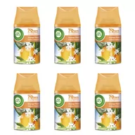 Odświeżacze powietrza - Zestaw Air Wick Freshmatic odświeżacz wkład Citrus Kwitąca Pomarańcza 6*250ml - miniaturka - grafika 1