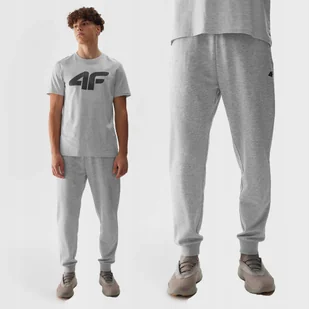 4F SPODNIE DRESOWE MĘSKIE JOGGERY DRESY SPORTOWE SS24 - Dresy męskie - miniaturka - grafika 1