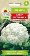 Nasiona i cebule - Kalafior EARLY SNOWBALL X (wczesny) Brassica oleracea L. var. botrytis - miniaturka - grafika 1