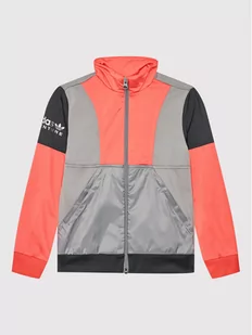 Adidas Bluza Adventure HE2065 Kolorowy Regular Fit - Bluzy dla chłopców - miniaturka - grafika 1