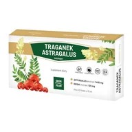 Zdrowa żywność - GINSENG POLAND Traganek Astragalus ekstrakt 10x10ml (fiolki) GINSENG POLAND - miniaturka - grafika 1
