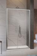 Ścianki i drzwi prysznicowe - Radaway Premium Pro Dwj drzwi wnękowe 100 lewe szkło przejrzyste 1014100-01-01L | Darmowa dostawa - miniaturka - grafika 1