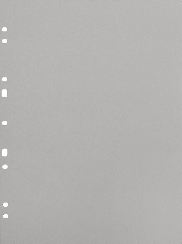 Focus Carton Refillsheets for Ringbinder A4 Grey 30-pack