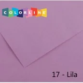 Szkolne artykuły papiernicze - Canson Karton ozdobny 150g, 10 arkuszy, 500x650 mm liliowy - miniaturka - grafika 1