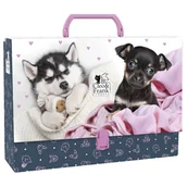 Szkolne artykuły papiernicze - Teczka z rączką gruba Cleo i Frank 38 - DERFORM - miniaturka - grafika 1