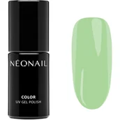 Lakiery hybrydowe - NEONAIL Blooming Dreams hybrydowy lakier do paznokci z użyciem lampy UV / LED odcień Eternal Fantasies 7.2 ml - miniaturka - grafika 1