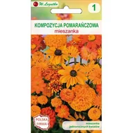 Nasiona i cebule - Kompozycja pomarańczowa W.Legutko - miniaturka - grafika 1