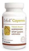 Suplementy i witaminy dla psów - Dolfos Dolvit Cayenne 90 Tabletki - miniaturka - grafika 1