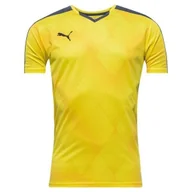 Koszulki męskie - PUMA Koszulka Sportowa Treningowa DryCELL r. 116 - miniaturka - grafika 1