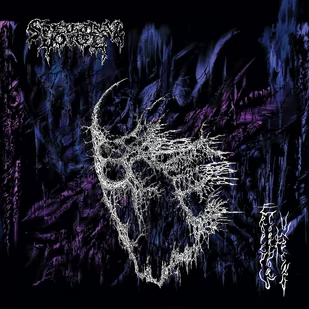 Spectral Voice Eroded Corridors Of Unbeing - Metal, Punk - miniaturka - grafika 1
