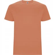 Koszulki męskie - T-shirt Męski Koszulka Męska GRUBSZA BAWEŁNA ROLY 6681 GREEK ORANGE M - miniaturka - grafika 1