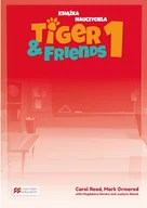 Książki do nauki języka angielskiego - Tiger & Friends 1. Książka nauczyciela + CD + kod online - miniaturka - grafika 1
