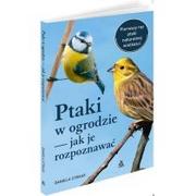 Rośliny i zwierzęta - AMBER Ptaki w ogrodzie - jak je rozpoznawać - Daniela Strauss - miniaturka - grafika 1