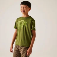 Odzież trekkingowa damska - Koszulka turystyczna dziecięca Alvarado IX - miniaturka - grafika 1