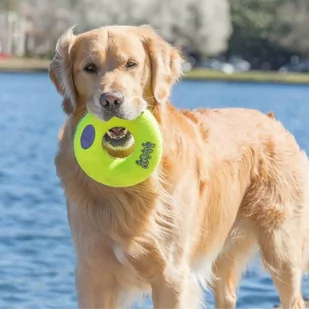 KONG AIRDOG SQUEAKER DONUT - zabwaka dla psa - M - Zabawki dla psów - miniaturka - grafika 3