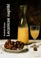 E-booki - kuchnia i diety - Lecznicze napitki - miody, kwasy, piwa, napoje ziołowe... 250 przepisów - miniaturka - grafika 1