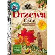 Książki edukacyjne - Młody obserwator przyrody. Drzewa leśne w.2022 - miniaturka - grafika 1