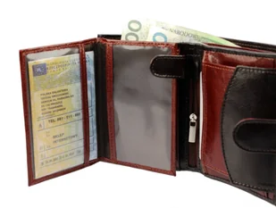 Portfel Skórzany ELKOR (PL) Skóra Licowa Średni Pionowy Z Zapięciem Dwa Skrzydełka EL125 KOLOROWY 12 x 9 x 2 [cm] - Portfele - miniaturka - grafika 6