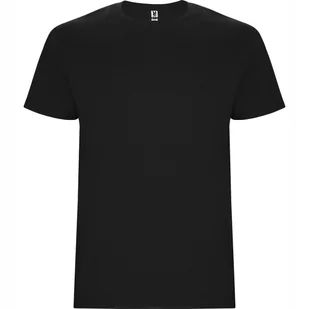 T-shirt Męski Koszulka Męska GRUBSZA BAWEŁNA ROLY 6681 CZARNA XL - Koszulki męskie T-shirt Męski Koszulka Męska GRUBSZA BAWEŁNA ROLY 6681 CZARNA XL - Koszulki męskie - miniaturka - grafika 1