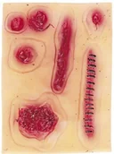 Zabawki kreatywne - Zestaw Ran - miniaturka - grafika 1