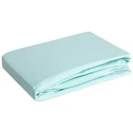 Prześcieradła - Eurofirany B.B. CHOCZYŃSCY SPÓŁKA JAWNA Prześcieradło z Gumką Jersey D91 240x220 w.30 Mięta 1221764 - miniaturka - grafika 1
