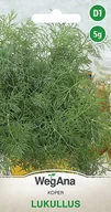 Nasiona i cebule - Koper ogrodowy Lukullus 5g nasiona - WegAna - miniaturka - grafika 1