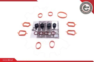 ZESTAW NAPRAWCZY 49SKV561 BMW SILNIKI 2.0 M47 , 4X22MM - Układ zasilania - akcesoria - miniaturka - grafika 1