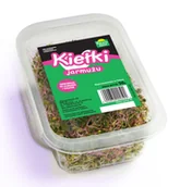 Warzywa świeże i suszone - Pokarm życia - Kiełki jarmużu - miniaturka - grafika 1